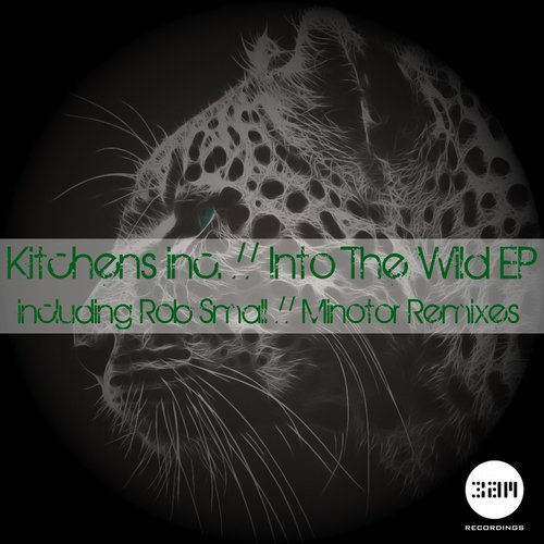 Kitchens Inc. – Into The Wild EP on 3am Recordings